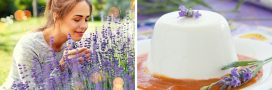 5 fleurs comestibles à planter dans votre jardin 5 fleurs comestibles à planter dans votre jardin