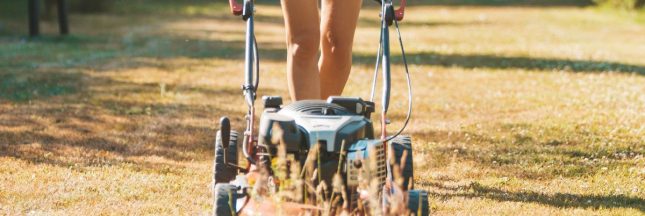 Gazon séché par le soleil