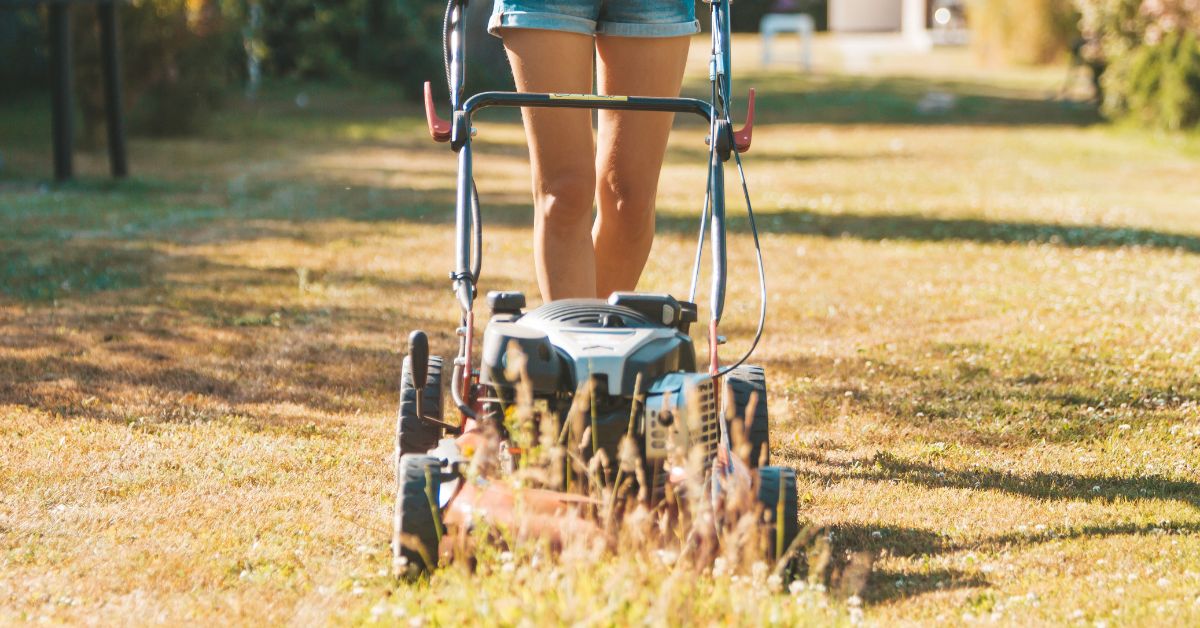 Pelouse jaunie par le soleil : conseils pour éviter l'herbe desséchée