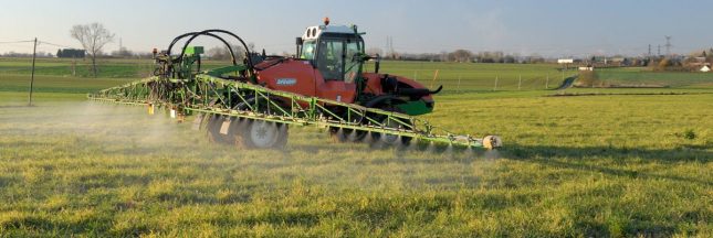 Le glyphosate