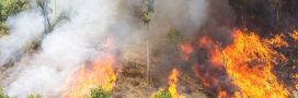 Var : l’exercice militaire tourne au cauchemar, 1.800 hectares de forêt brûlent