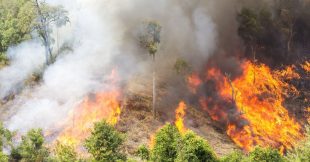Var : l'exercice militaire tourne au cauchemar, 1.800 hectares de forêt brûlent