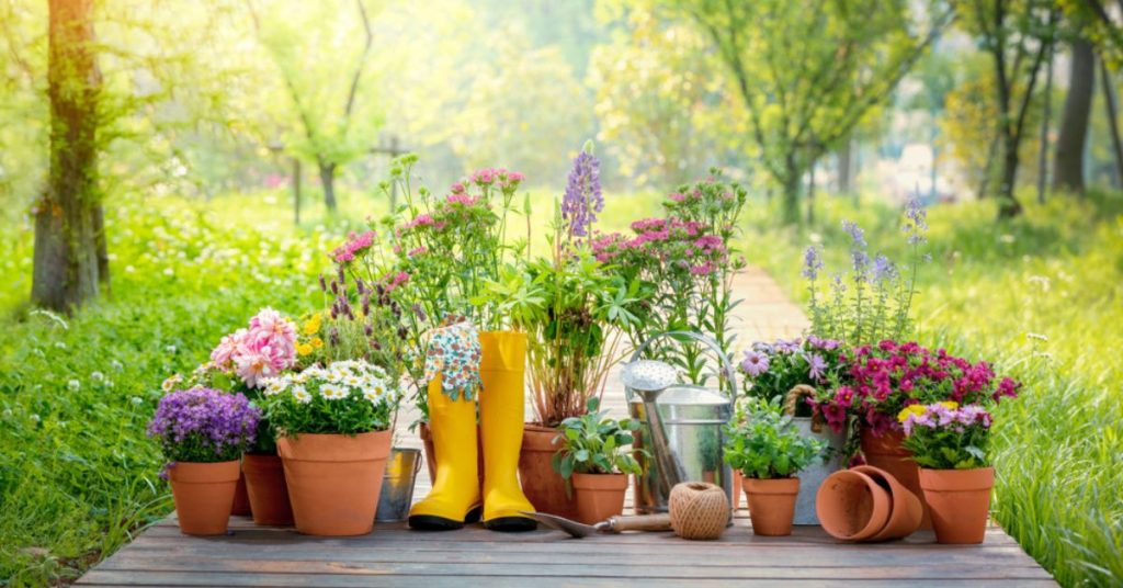 En été, 6 conseils pour préserver l’humidité dans les pots et jardinières