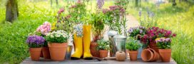Canicule : 6 conseils pour préserver l’humidité dans les pots et jardinières