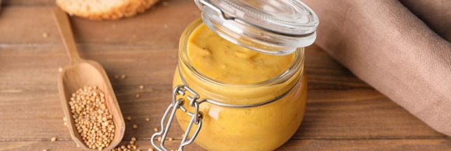 Les alternatives à la moutarde