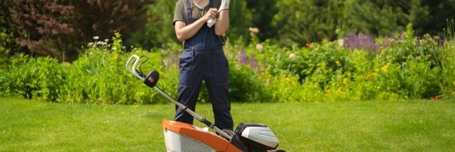 Ne pas tondre en été