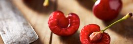 Comment faire germer un noyau de cerise ? Comment faire germer un noyau de cerise ?