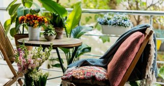 Balcons et terrasses : quelles plantes choisir en fonction de l'exposition ? Balcons et terrasses : quelles plantes choisir en fonction de l'exposition ?