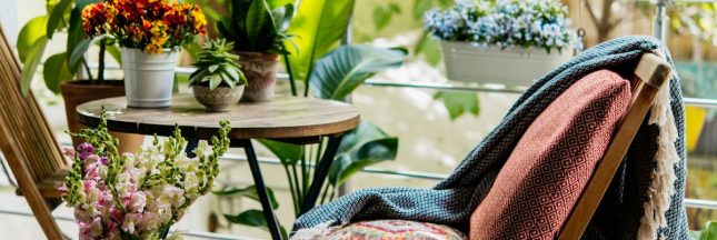 plantes pour balcon