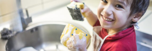 fabriquer son produit vaisselle maison