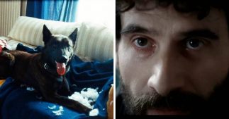 Abandon d'animaux : le nouveau film de la SPA touche en plein coeur