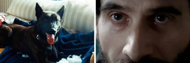 « Les raisons de l'aimer » : le nouveau film de la SPA contre l'abandon