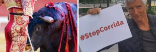 1ère Journée contre la corrida, des actions partout en France