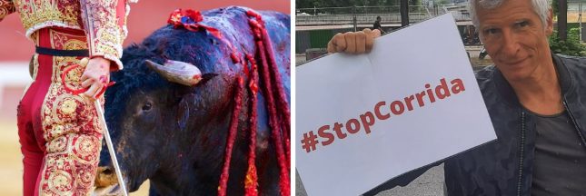 #StopCorrida, journée contre la corrida