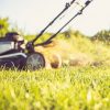 Biodiversité : la bonne hauteur pour tondre sa pelouse Biodiversité : la bonne hauteur pour tondre sa pelouse