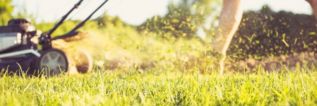 Quelle hauteur pour tondre la pelouse ?