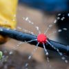 Quel système d'arrosage goutte à goutte pour mon jardin ? Nos conseils Quel système d'arrosage goutte à goutte pour mon jardin ? Nos conseils