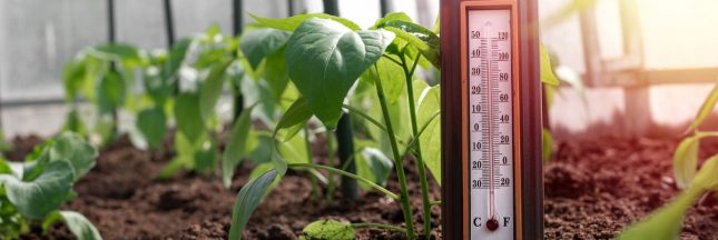 Protéger la serre de la chaleur