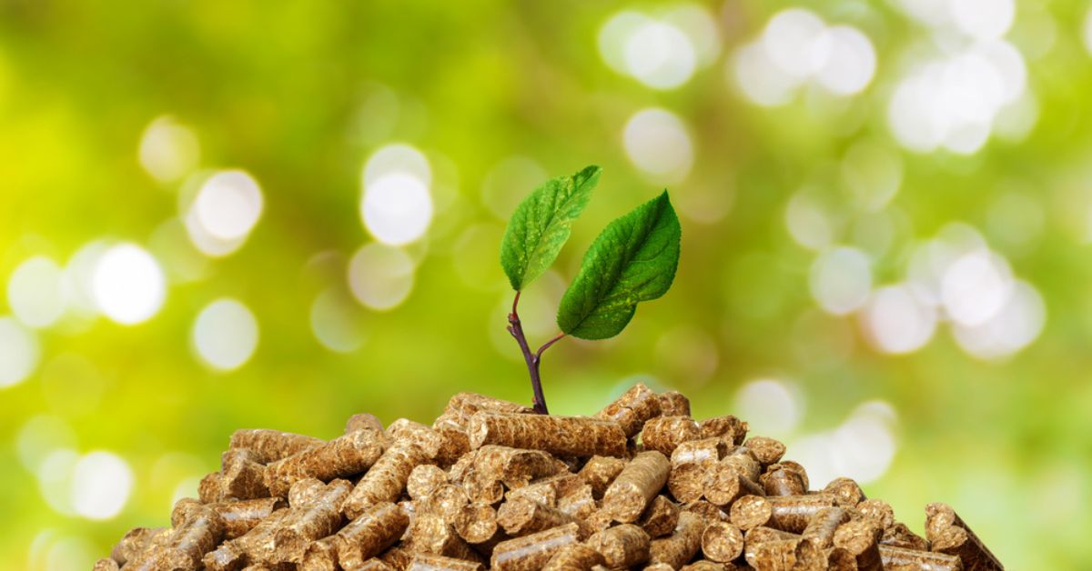 Installer une chaudière biomasse : avantages, inconvénients et aides
