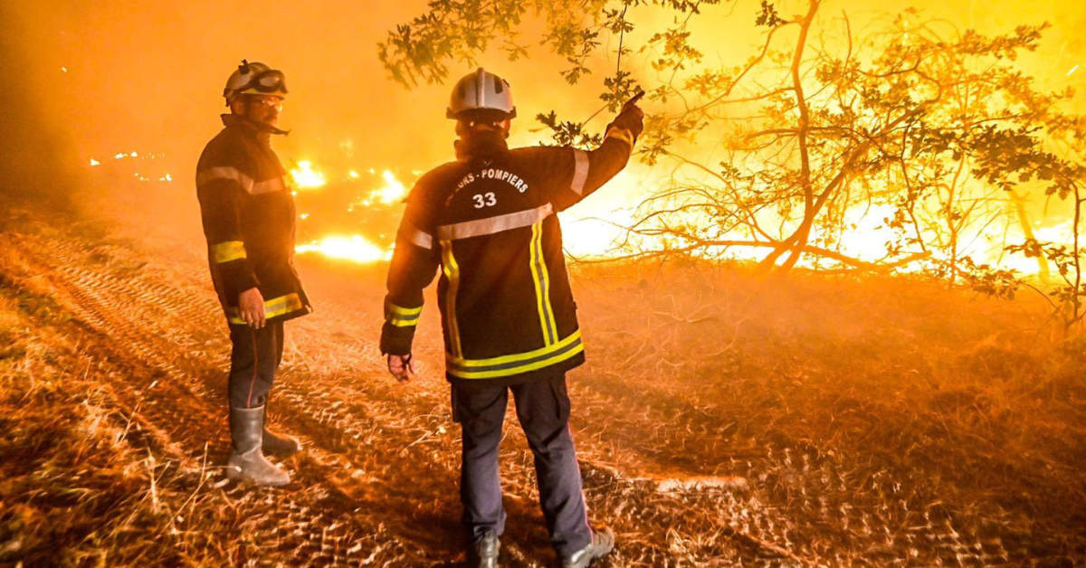 L'Homme est responsable de la quasi-totalité des feux de forêt