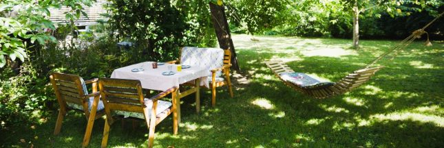 Préserver la fraîcheur du jardin par canicule