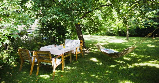 Canicule : aménager son jardin pour garder la fraîcheur en été