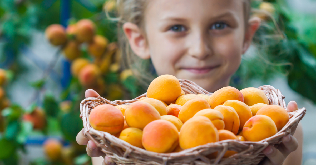 4 astuces pour faire mûrir les fruits climactériques