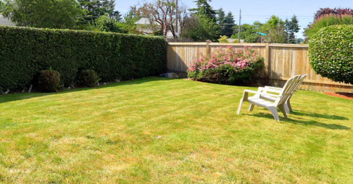 Isoler son jardin avec une haie anti-bruit : les meilleurs végétaux Isoler son jardin avec une haie anti-bruit : les meilleurs végétaux