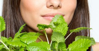 Apportez de la fraîcheur à votre peau avec nos 7 recettes beauté à la menthe Apportez de la fraîcheur à votre peau avec nos 7 recettes beauté à la menthe