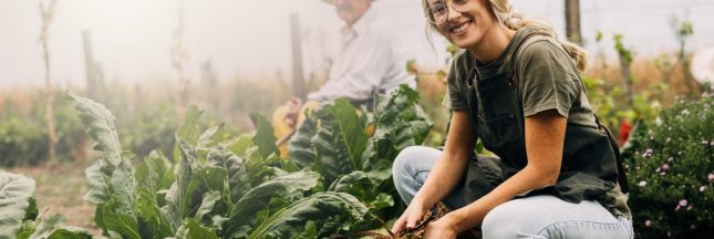 Fruits et légumes faciles à planter