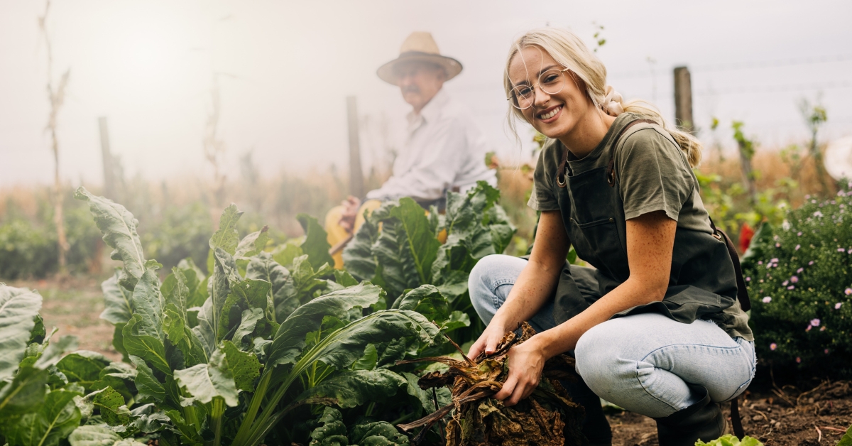Potager pour débutant : 10 légumes et fruits faciles à cultiver