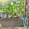 Préparer son potager aux vacances : astuces pour le retrouver en forme ! Préparer son potager aux vacances : astuces pour le retrouver en forme !