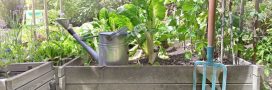 Préparer son potager aux vacances : astuces pour le retrouver en forme ! Préparer son potager aux vacances : astuces pour le retrouver en forme !