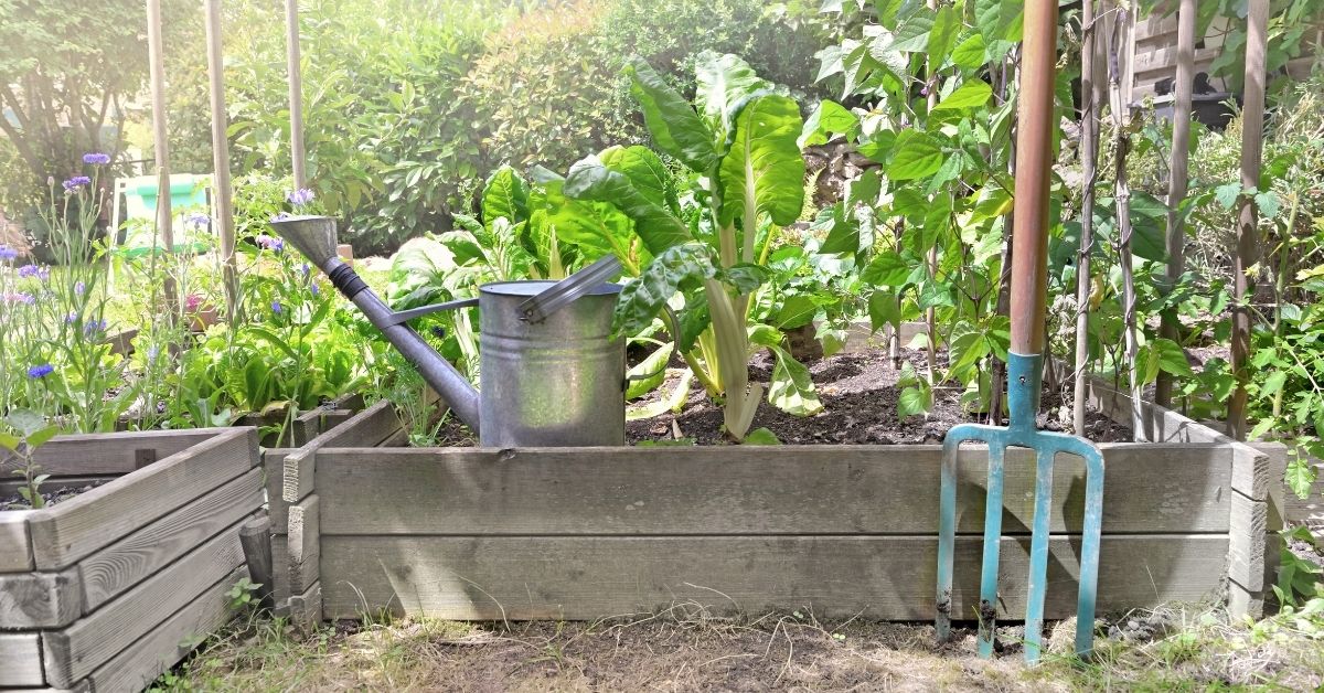 Préparer son potager aux vacances : astuces pour le retrouver en forme ! Préparer son potager aux vacances : astuces pour le retrouver en forme !