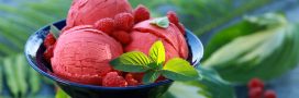 Recette bio facile : le sorbet à la framboise sans sorbetière Recette bio facile : le sorbet à la framboise sans sorbetière