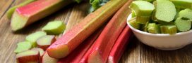 7 façons de cuisiner la rhubarbe pour ceux qui n'aiment pas 7 façons de cuisiner la rhubarbe pour ceux qui n'aiment pas