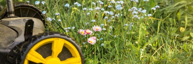 La tonte différenciée