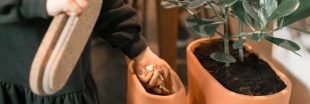 Transfarmers : le pot de fleurs composteur qui nourrit vos plantes !