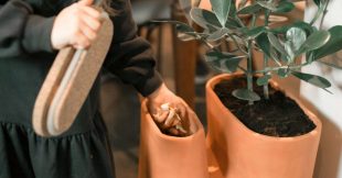 Transfarmers : le pot de fleurs composteur qui nourrit vos plantes !
