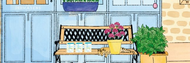 Le vanity de l'été du laboratoire Marque Verte