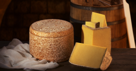 Sécheresse : la production de fromage AOP Salers est stoppée