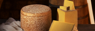 Sécheresse : la production de fromage AOP Salers est stoppée