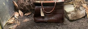 Un sac en crocodile à la place d'un crocodile dans un zoo ?