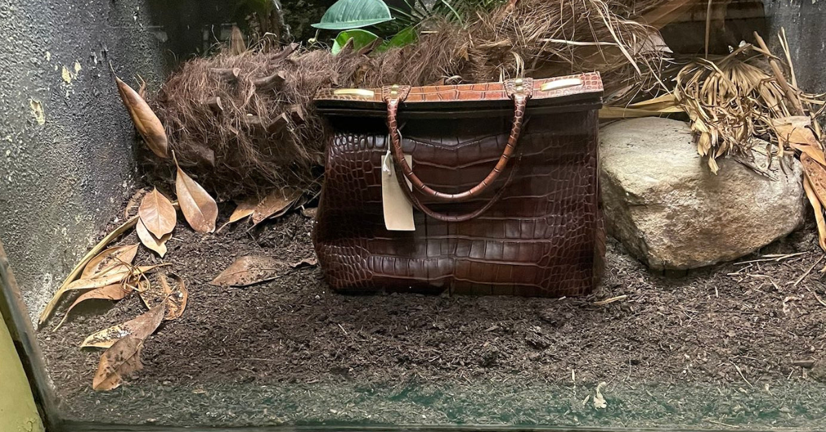 Un sac en crocodile à la place d'un crocodile dans un zoo ?