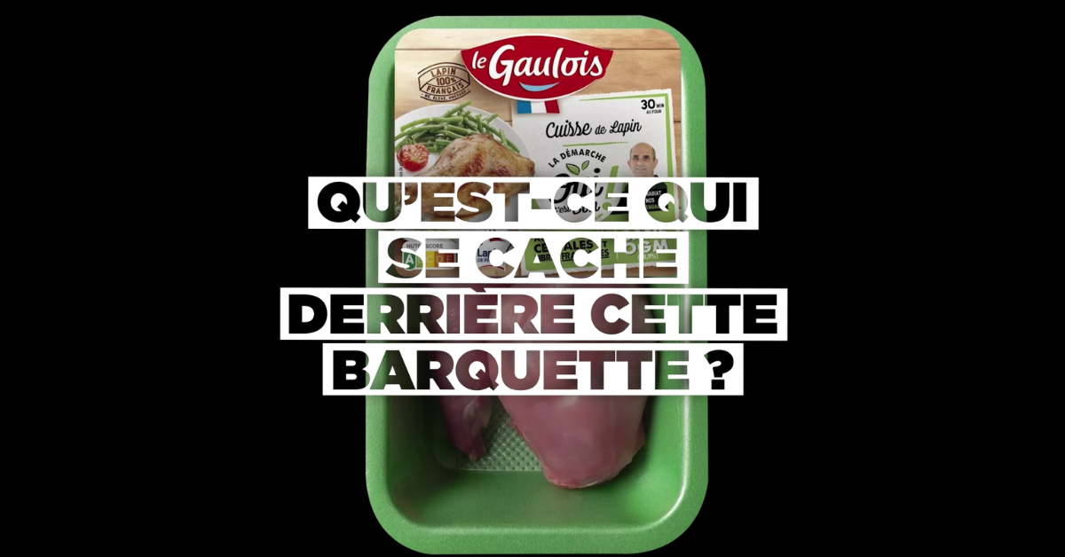 Élevage intensif de lapins en Bretagne : L214 diffuse des images choc et porte plainte