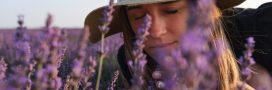 Aromachologie : le pouvoir des odeurs Aromachologie : le pouvoir des odeurs
