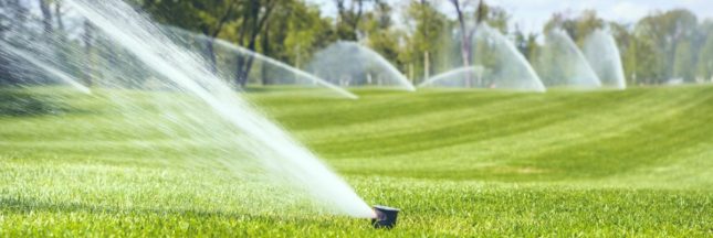 L'arrosage des golfs par restriction d'eau
