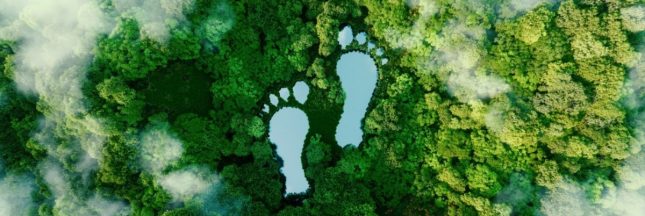 Calculateur d'empreinte écologique