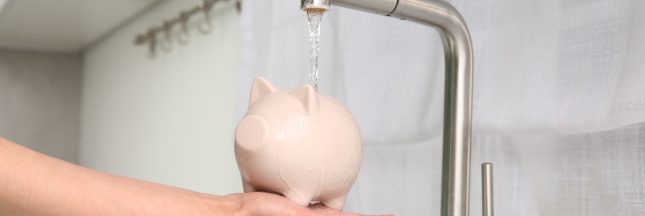 Réduire sa consommation d'eau