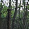 Feux : l'engrillagement de la forêt de Sologne fait de nouveau polémique